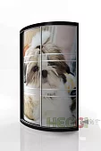 Радиусный шкаф-купе Мебелеф-1 Коричневый